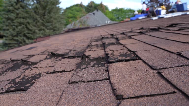 Best Flat Roofing  in Falls City, OR