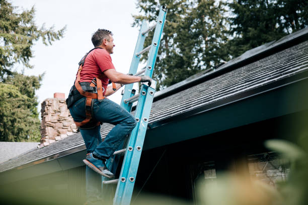 Best Roof Maintenance and Cleaning  in Falls City, OR